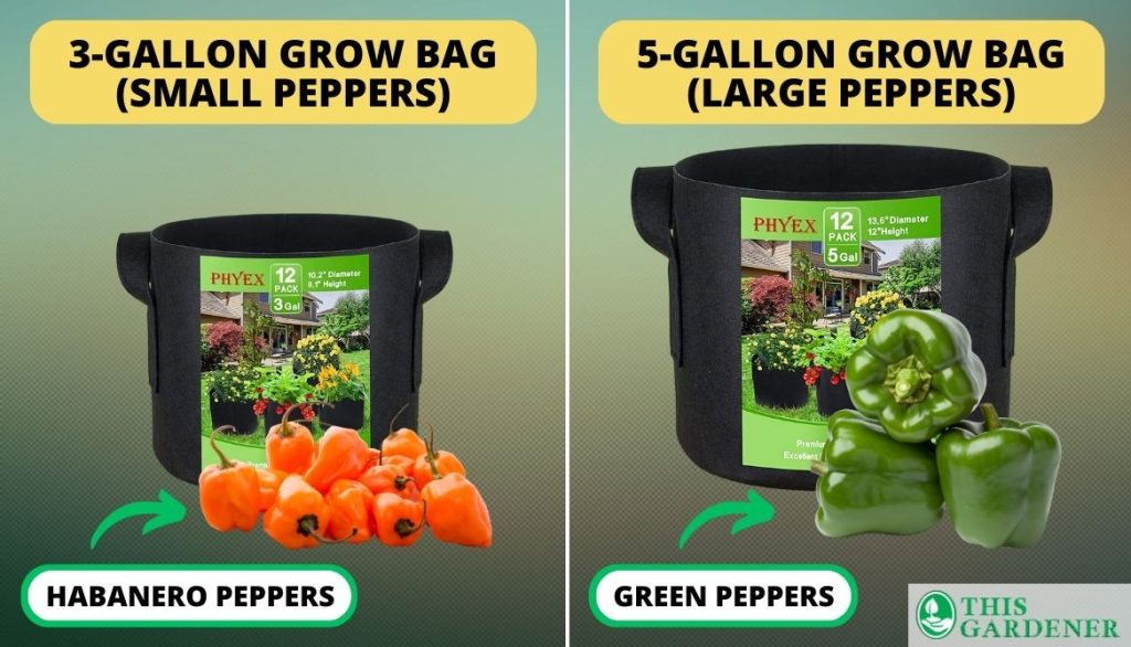 Pepper Plant Varieties for Different 3 and 5-Gallon Grow Bags