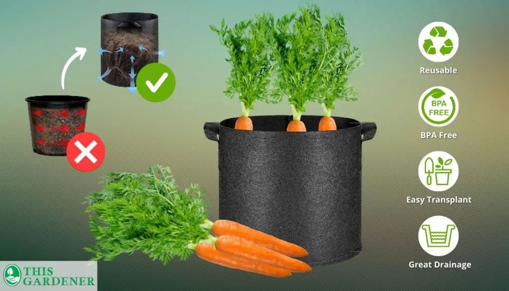 Why Grow Carrots in a Growing Bag