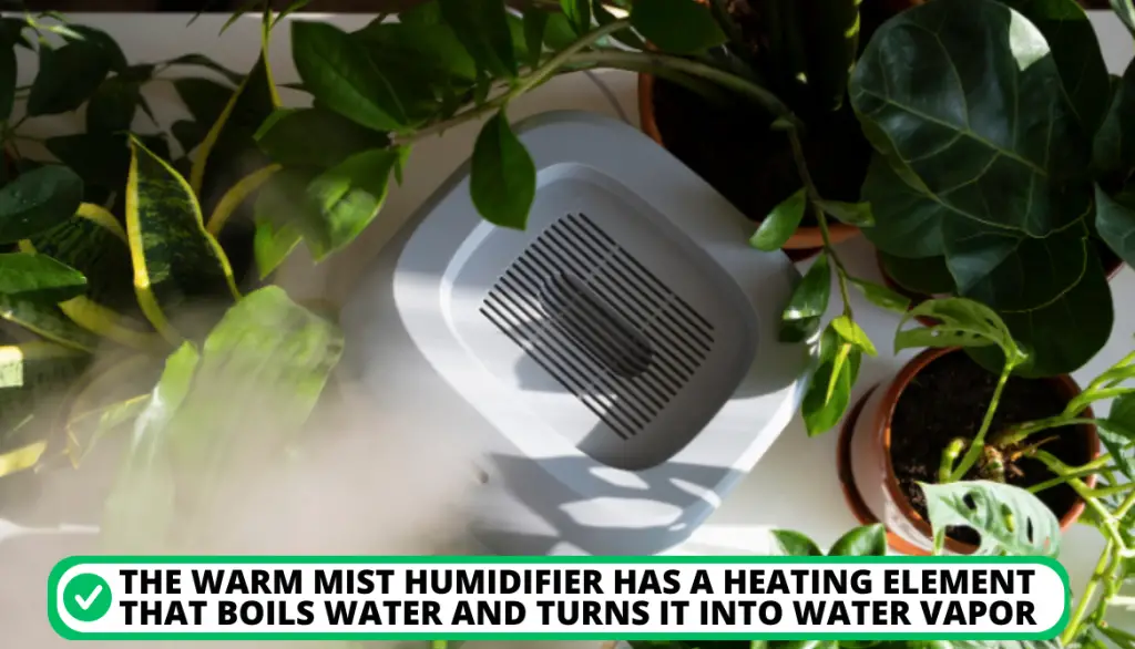 Cool Mist and Warm Mist Humidifiers