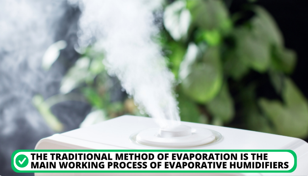 Evaporative Humidifiers