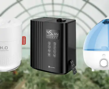 6 Editor-Approved Best Humidifier for Greenhouse