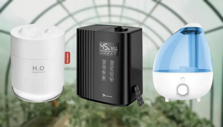 6 Editor-Approved Best Humidifier for Greenhouse