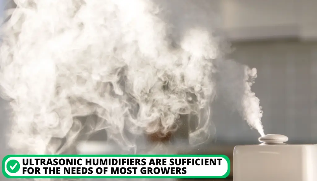 A Dive Into 5 Different Types of Humidifiers