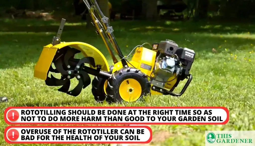 Best Tiller for Breaking New Ground Is Rototilling a Good or Bad Option for your Soil