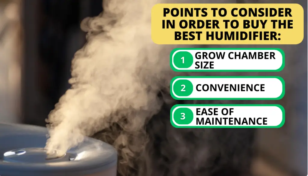 Choosing Guide: How to Pick up the Best Humidifier