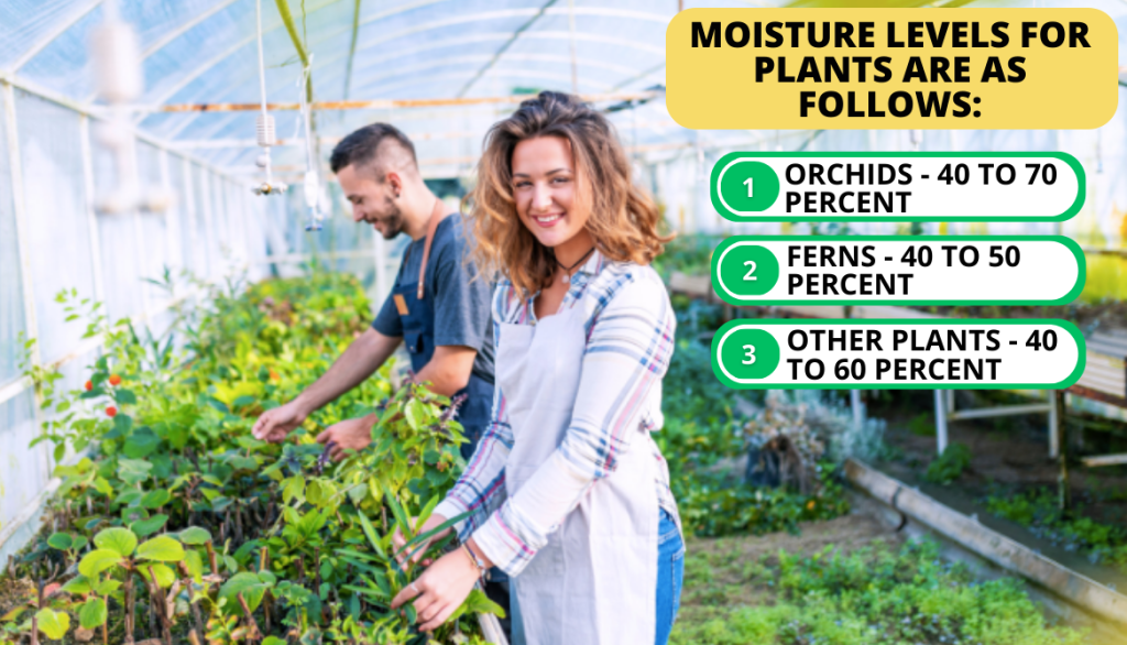 Common Humidity Levels for Greenhouse