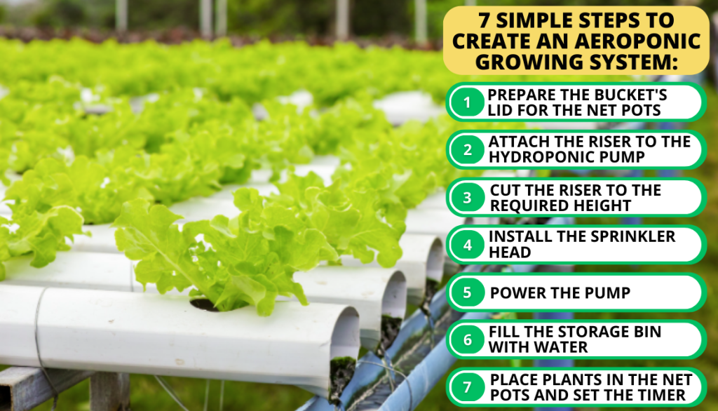 DIY Aeroponic Growing System from a 5-Gallon Bucket: Step-by-Step Process