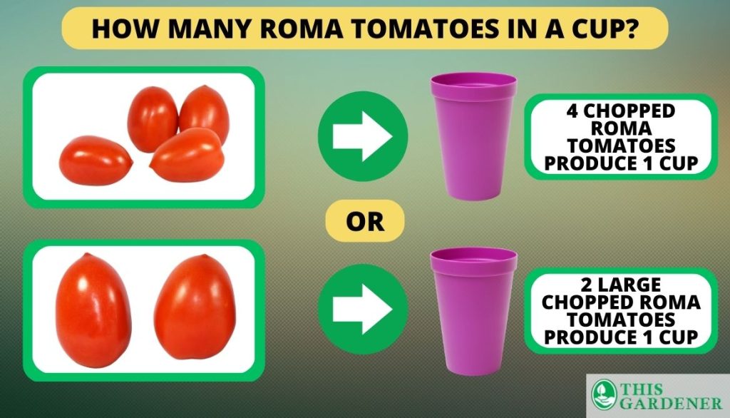 how many roma tomatoes in a cup