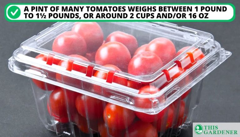 How Many Roma Tomatoes In A Cup: Check Now 13 Detailed Tables