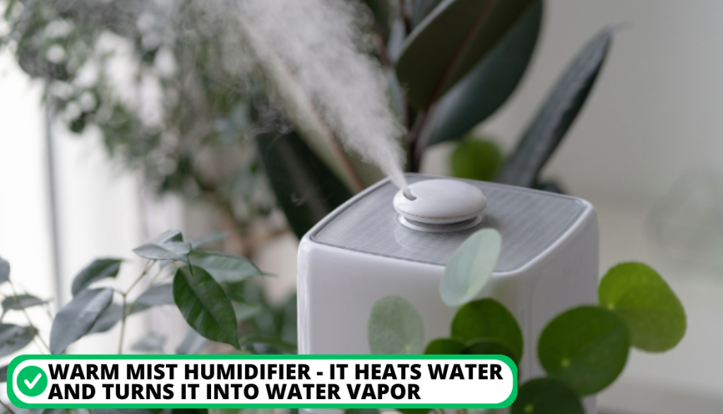 Type of Humidifier