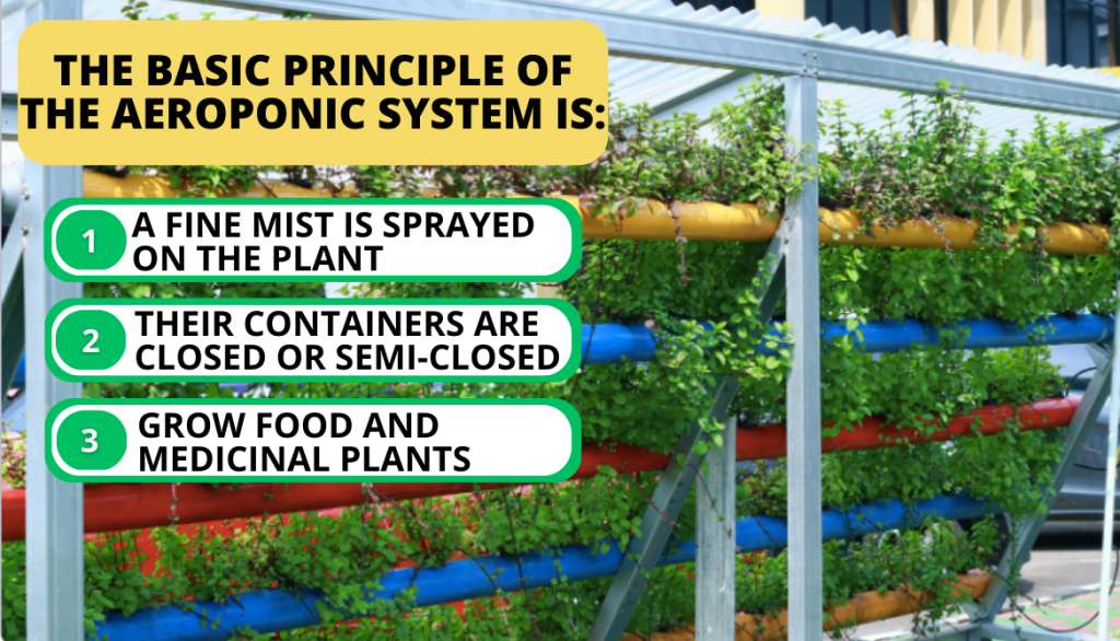 What is meant by Aeroponics - Overview and Limitations