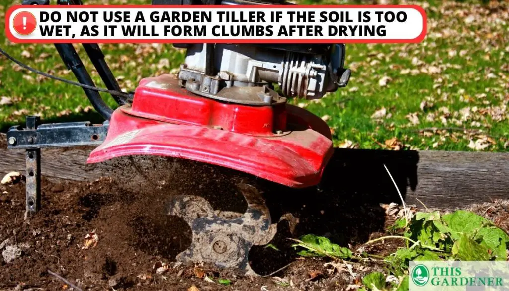When is the Best Time to Use a Garden Tiller