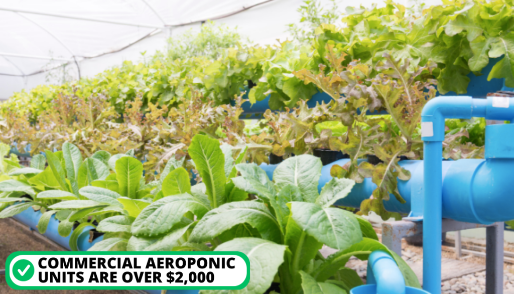 Diy Aeroponics. Why Build Aeroponic Growing System Your Self?