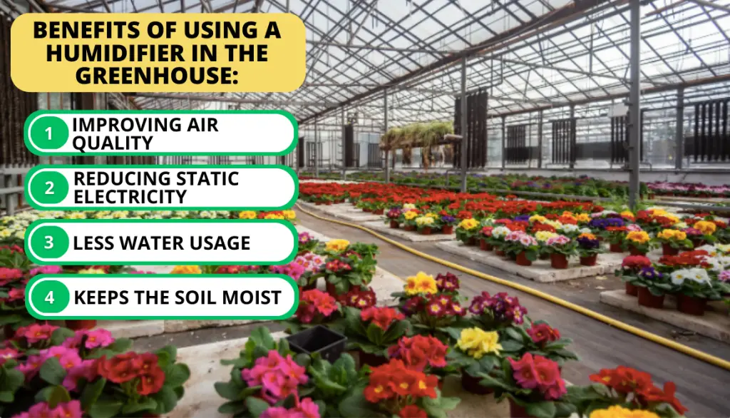 Best Humidifier for Greenhouse. Why Humidifiers for Greenhouse