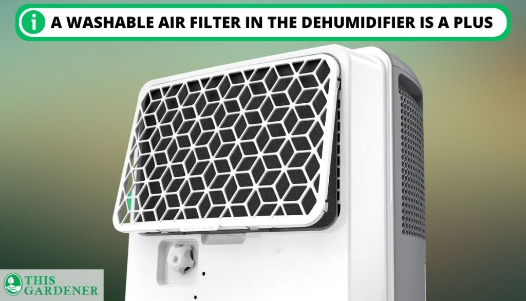 Best Dehumidifier for 5x5 Grow Tent Air Filter