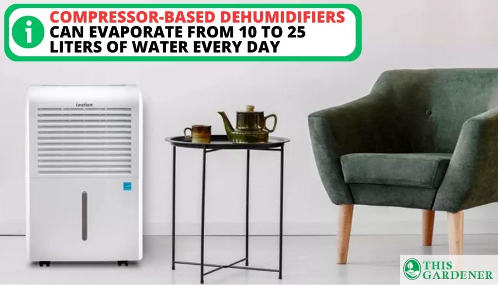 Best Dehumidifier for 5x5 Grow Tent Compressor-Based Dehumidifiers