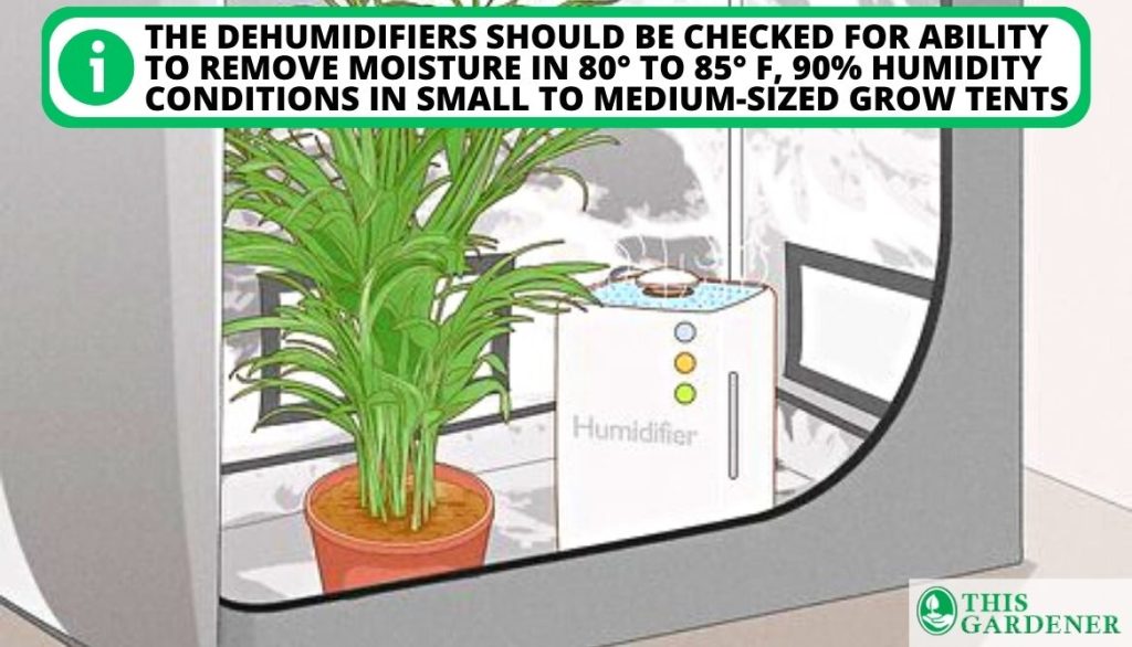 Best Dehumidifier for 5x5 Grow Tent How Humidifiers Are Tested