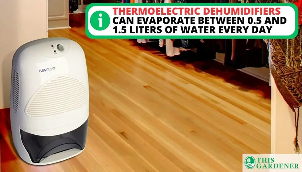 Best Dehumidifier for 5x5 Grow Tent Thermoelectric Dehumidifiers