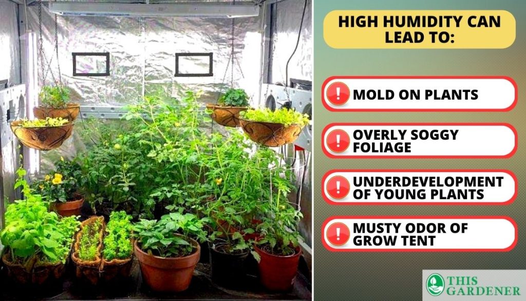 Common Relative Humidity Signs