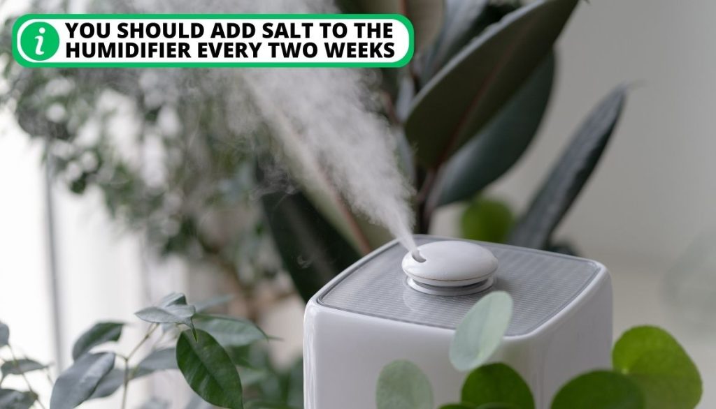 Can You Put Epsom Salt In A Humidifier 4 Essential Reasons