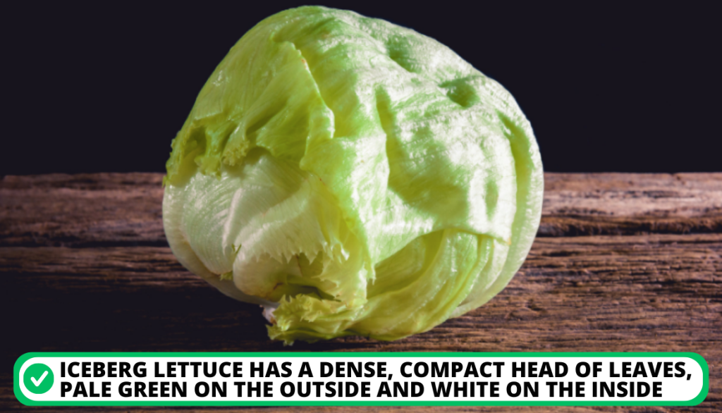 Iceberg (crisphead) Lettuce