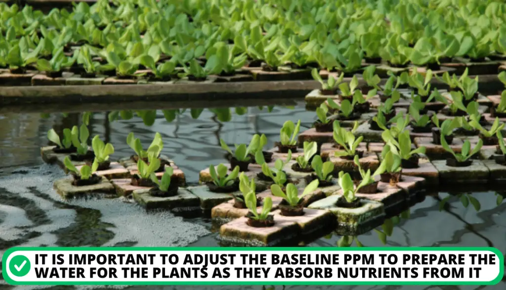 PPM Level Adjustments for Perfect Nutrient Solution