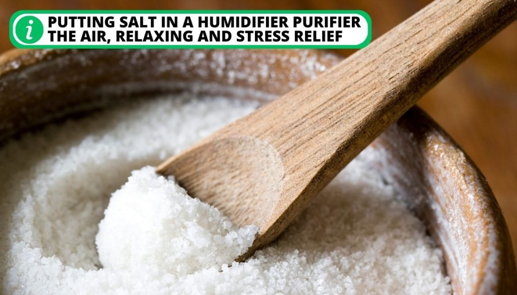 Can You Put Epsom Salt In A Humidifier 4 Essential Reasons