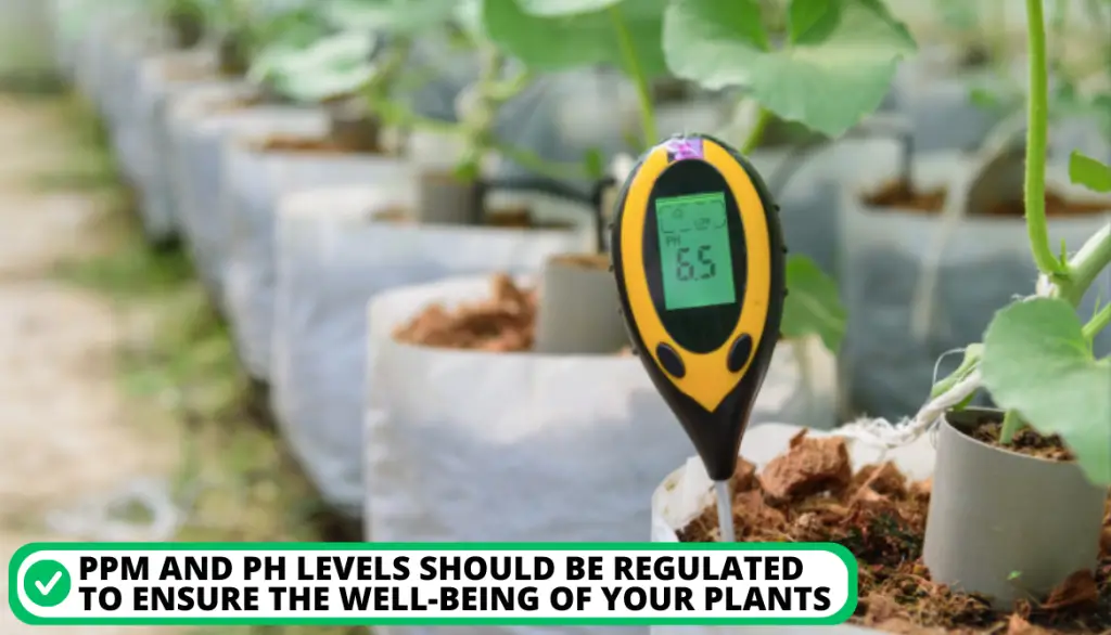 Regulation of pH Level