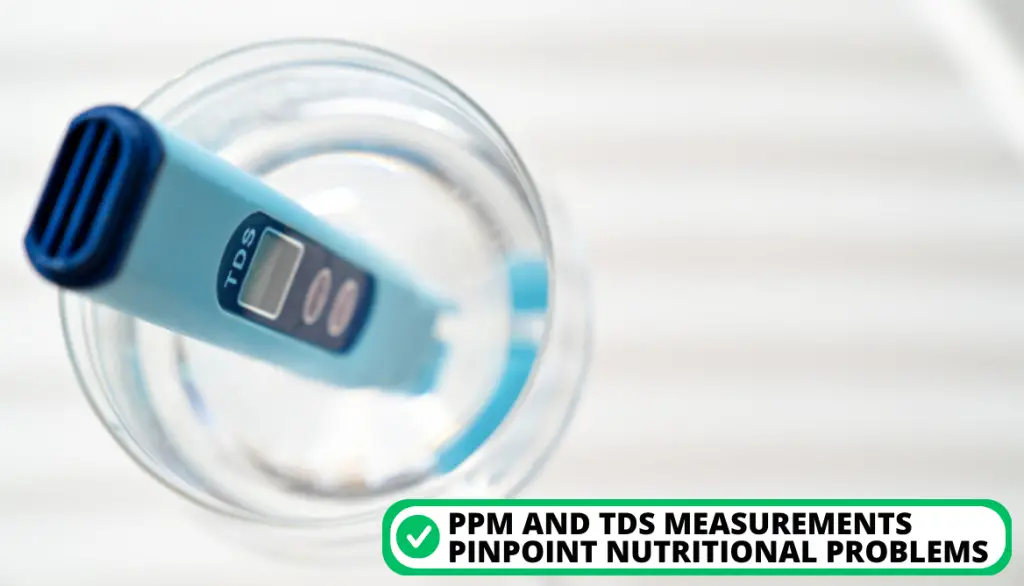 The Most Common Measurements on PPM Meter
