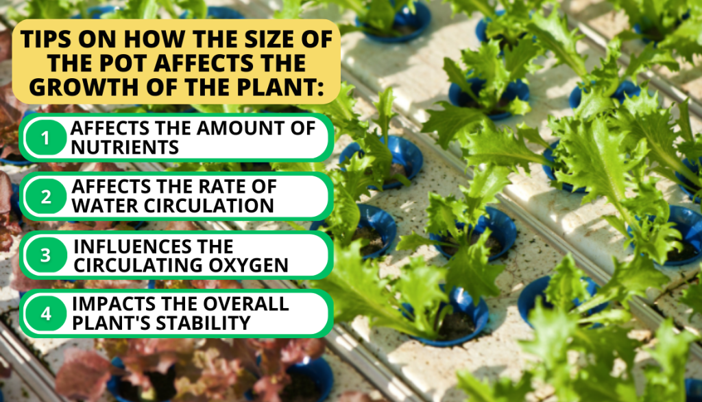 Why You Should Consider a Net's Pot Size