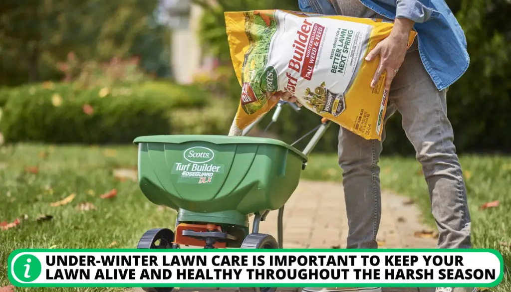 Can I Use Scotts Winterguard in Spring. Best Time for Winterizing Lawn: How and When