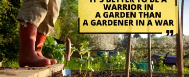 It’s Better to be a Warrior in a Garden than a Gardener in a War Explained