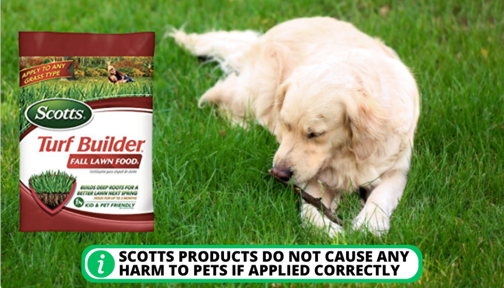 Scotts Lawn Products: Are They Poisonous or Safe for Pets?