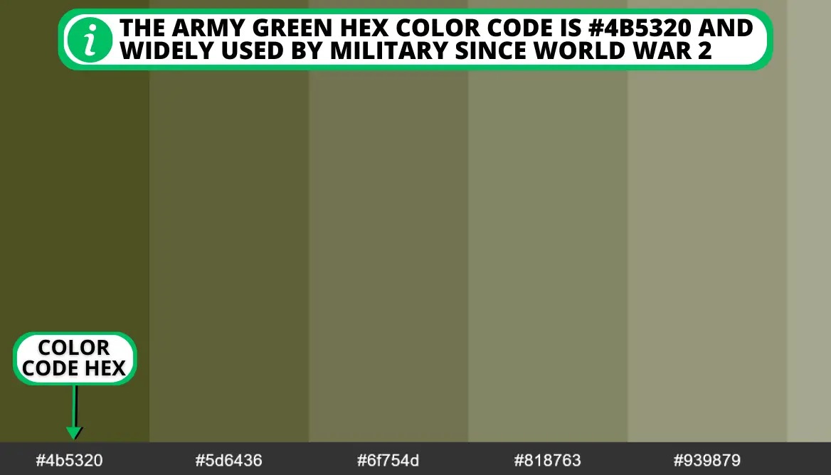 What Shade Of Green Is Army Green: 5 Essential Points To Know