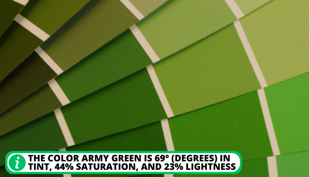 what-shade-of-green-is-army-green-5-essential-points-to-know