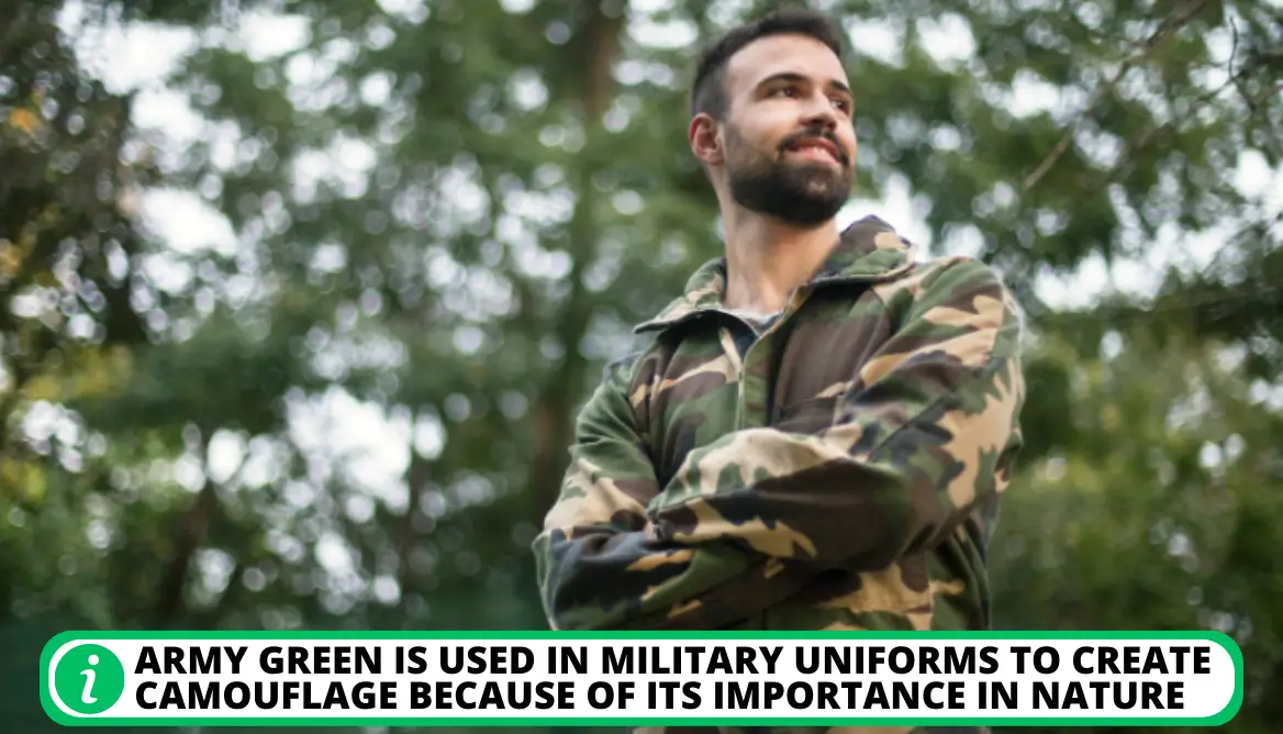 What Shade Of Green Is Army Green: 5 Essential Points To Know