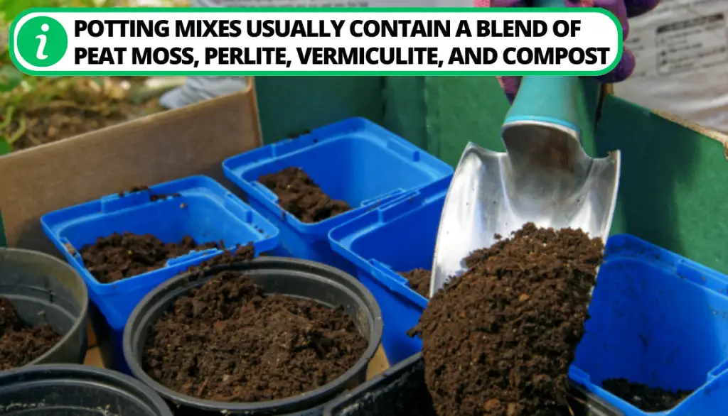 Potting or Container Mix