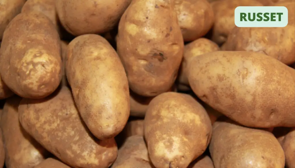 Starchy Potatoes