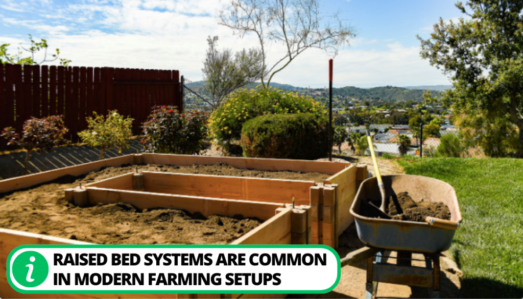 Raised Beds Utilization