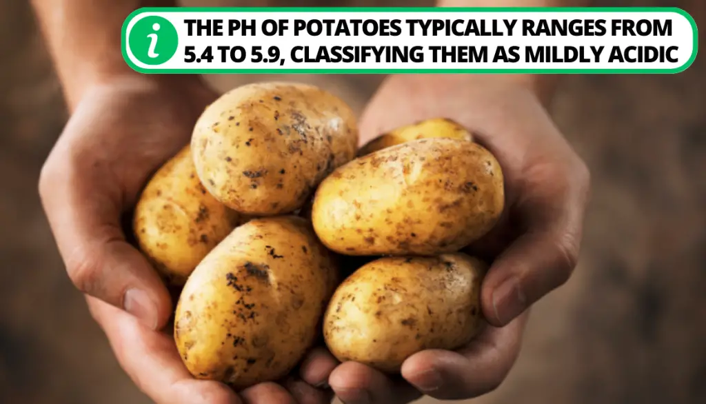 Your Body Chemistry and Potato pH