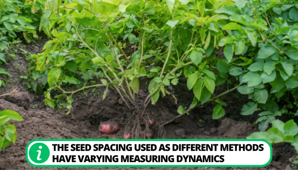 Understanding of planting depth