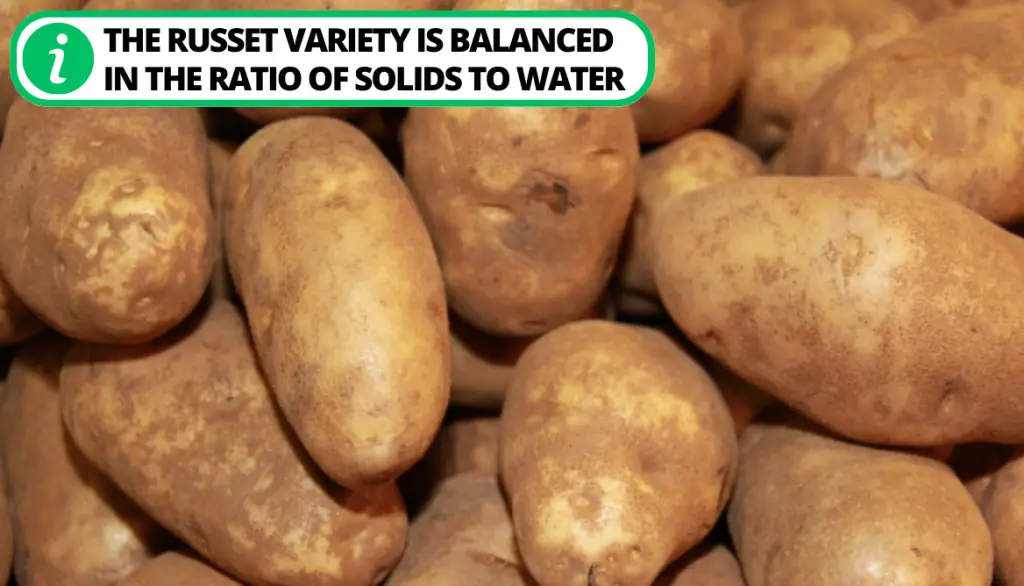 Best Potatoes for French Fries. Russet Potatoes Have A Balanced Solid-Water Ratio