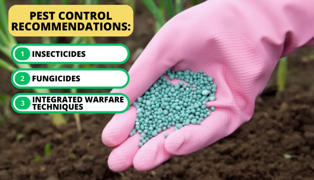 Fertilizer Types and Formulations