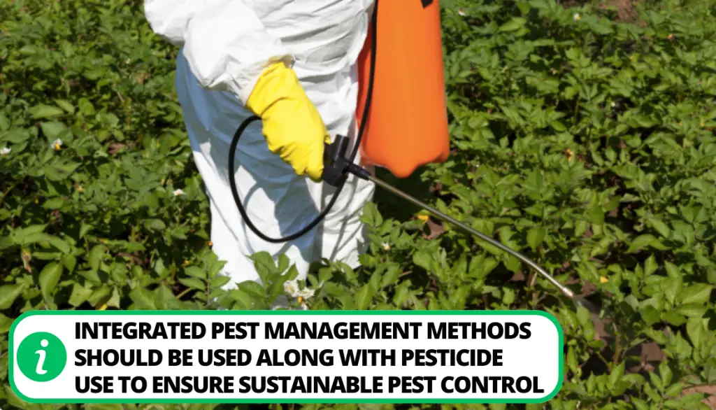 Use of Pesticides or Natural Pest Control Methods