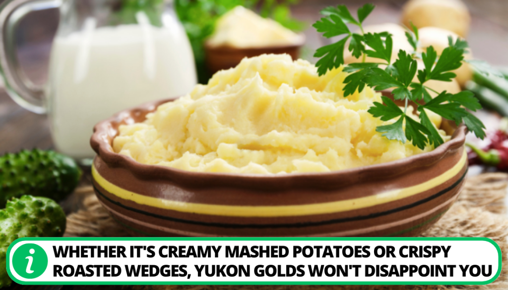 Yukon Gold Potatoes