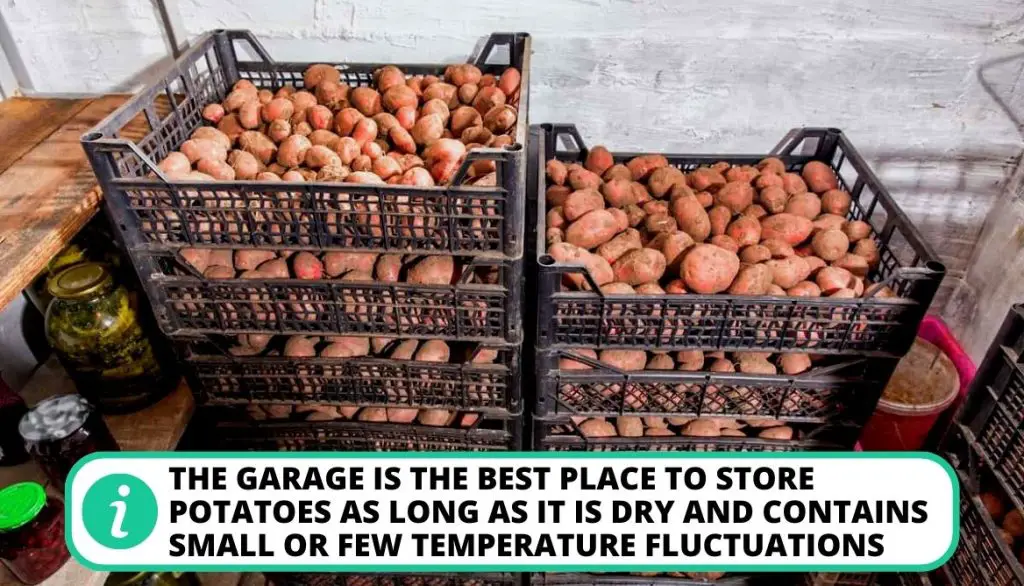 Best Location to Store Potatoes After Curing - Garage