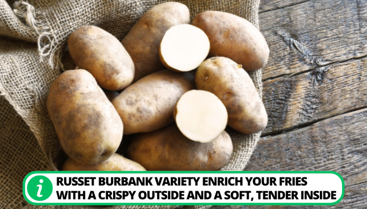 Best Potatoes For French Fries: 3 Varieties For Great Taste