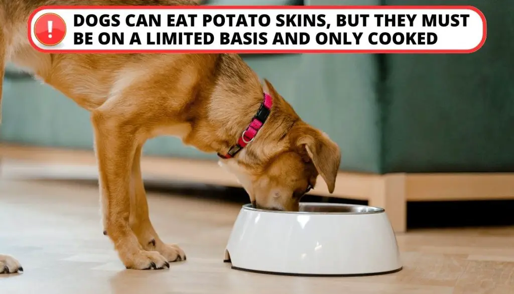 Can Dogs Eat Potato Skin