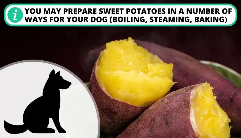 Can Dogs Eat Potato Skin Cooked Sweet Potatoes