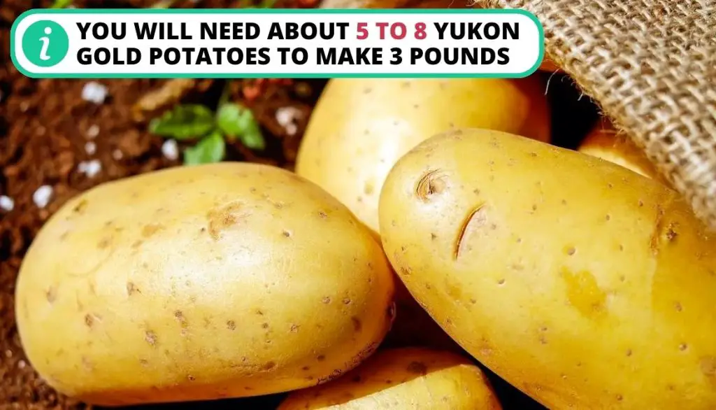 How Many Potatoes in 3 Pounds Yellow Potatoes